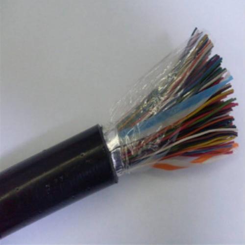 天聯(lián)電纜JYPV-2B