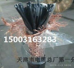 供應(yīng)天津天聯(lián)牌WDZ-DJYYP2-23無鹵電纜