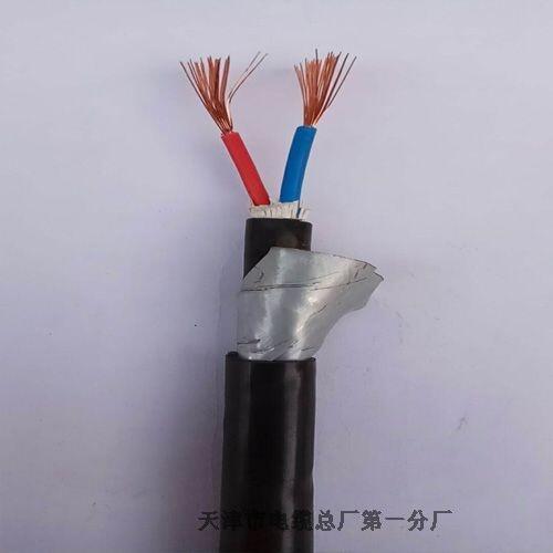 供應(yīng)河北廊坊KVVP2-22銅帶屏蔽鎧裝控制電纜價(jià)格咨詢