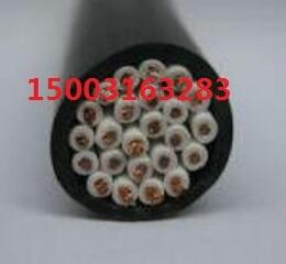 變頻器專用電纜 SYV-50-17.SYV-75-15，MSYV-50-7