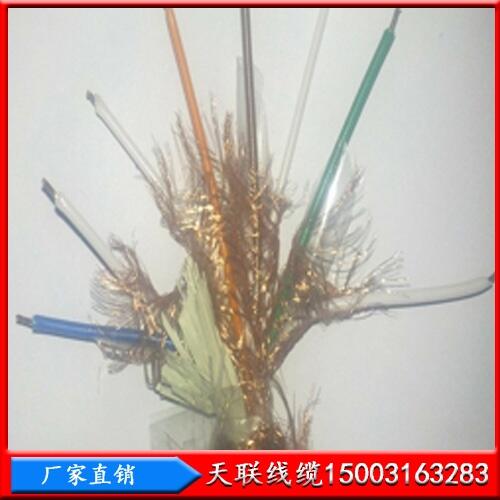 鋼絲鎧裝大對數(shù)礦用電纜天聯(lián)MHYVP20X2X0.5加工定做，發(fā)貨快