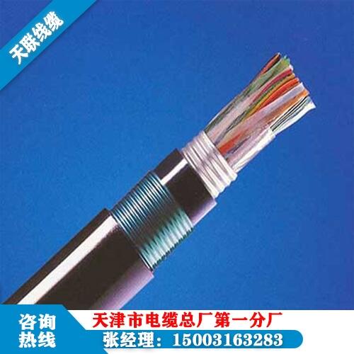 天聯(lián)牌RVV 輕型聚氯乙稀護套軟線