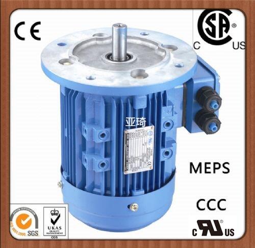 美標(biāo)電機(jī)NEMA-FRAME-405TSC-100HP-2 UL認(rèn)證電機(jī)IE3