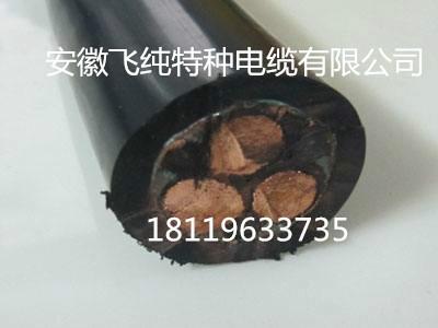 拖令電纜 LEF 5*10  安徽飛純牌