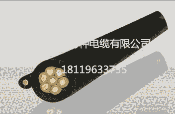 拖令電纜 LHEFP  4*2*1.0 飛純牌