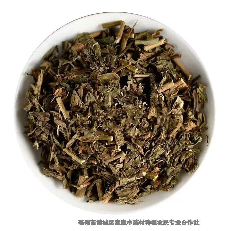 佩蘭種子栽培技術(shù)佩蘭種子哪里有
