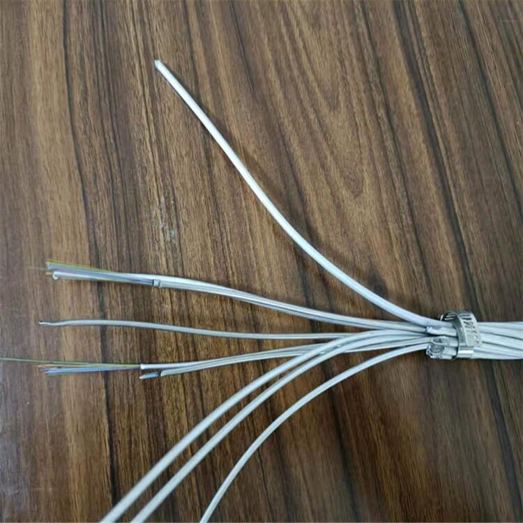 OPGWw(f)ϵؾ-24B1-40r(ji)