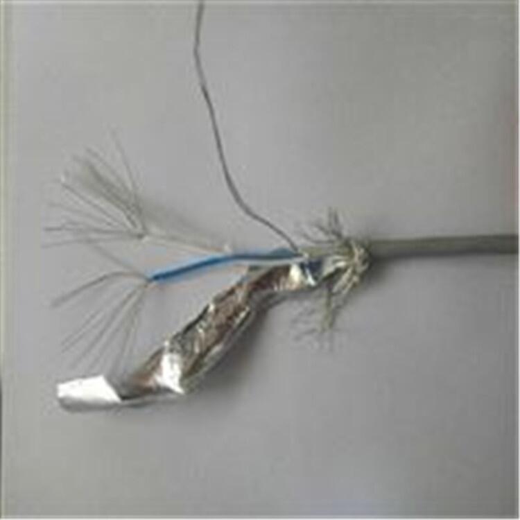 RS485通訊電纜10*2*1價(jià)格查詢(xún)