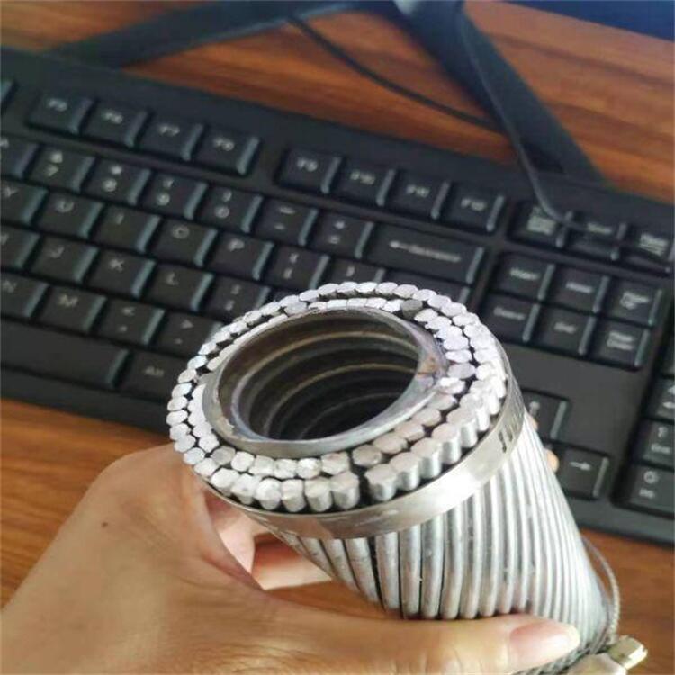 擴徑導線國際LGKK-1200鋁管金屬軟管支撐型型號齊全