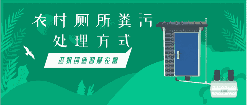 農村廁所糞污處理方式 農村普及衛(wèi)生廁所-港騏