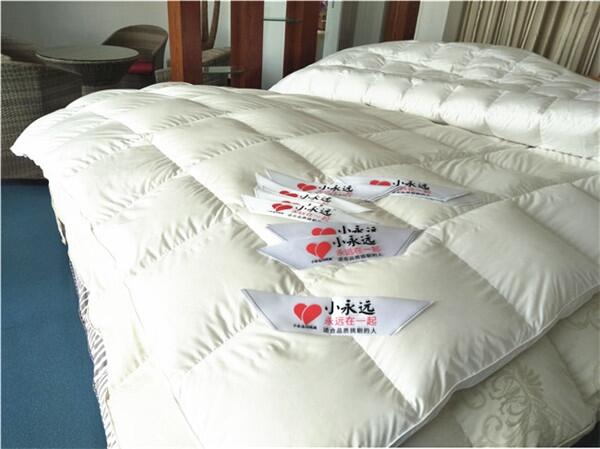 那個(gè)名牌羽絨被品質(zhì)好價(jià)格優(yōu)惠，20人選小永遠(yuǎn)羽絨被廠商95白鵝絨