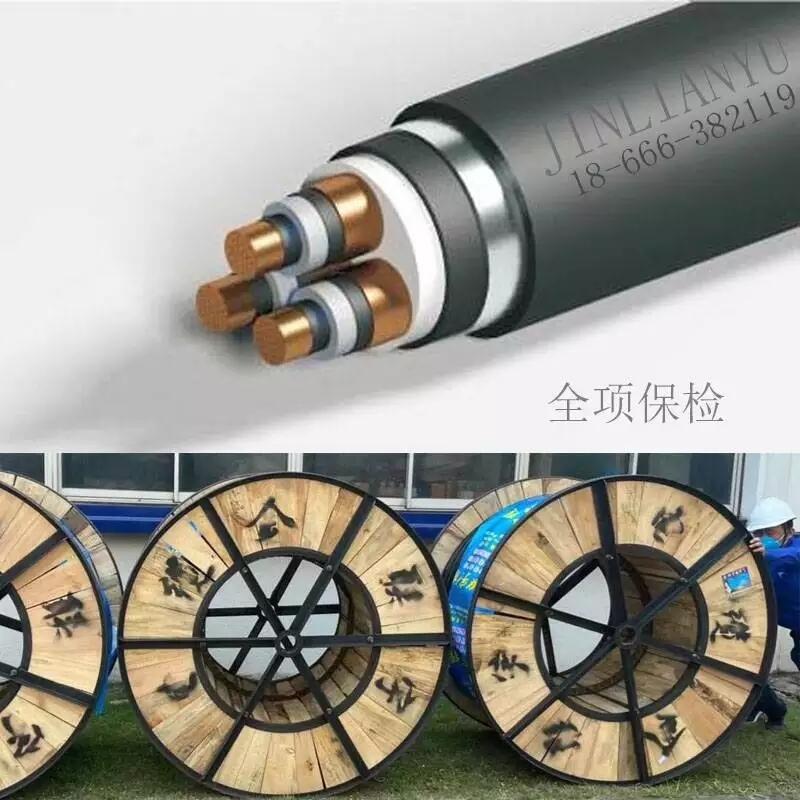 恩施土家族苗族自治州電線(xiàn)金聯(lián)宇低煙無(wú)鹵輻照交聯(lián)電纜