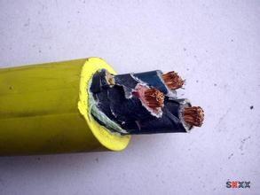 質(zhì)量保證JHS防水電纜JHSB潛水電纜