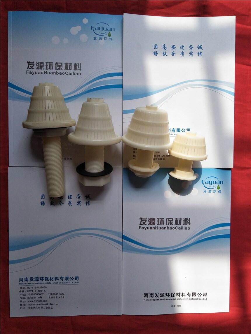 上海長(zhǎng)柄反沖洗濾帽蘑菇型