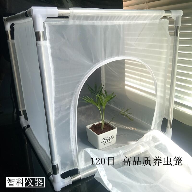 蚊繩飼養(yǎng)籠昆蟲(chóng)飼養(yǎng)籠