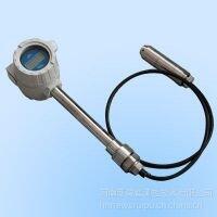 油站儲罐液位測量HL8001120射頻導(dǎo)納物位計(jì)