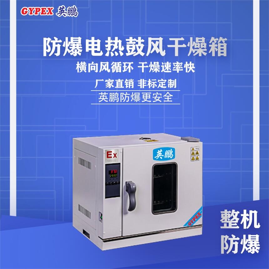 惠州化工廠防爆電熱鼓風干燥箱