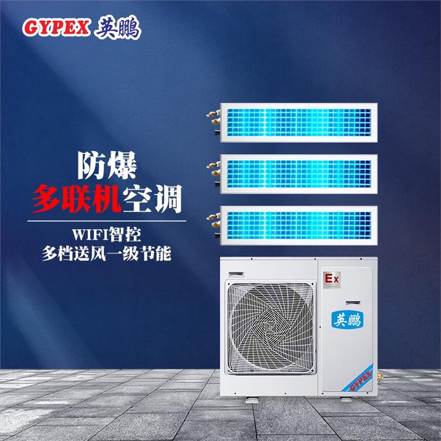 廈門化工廠防爆多聯(lián)機小4匹