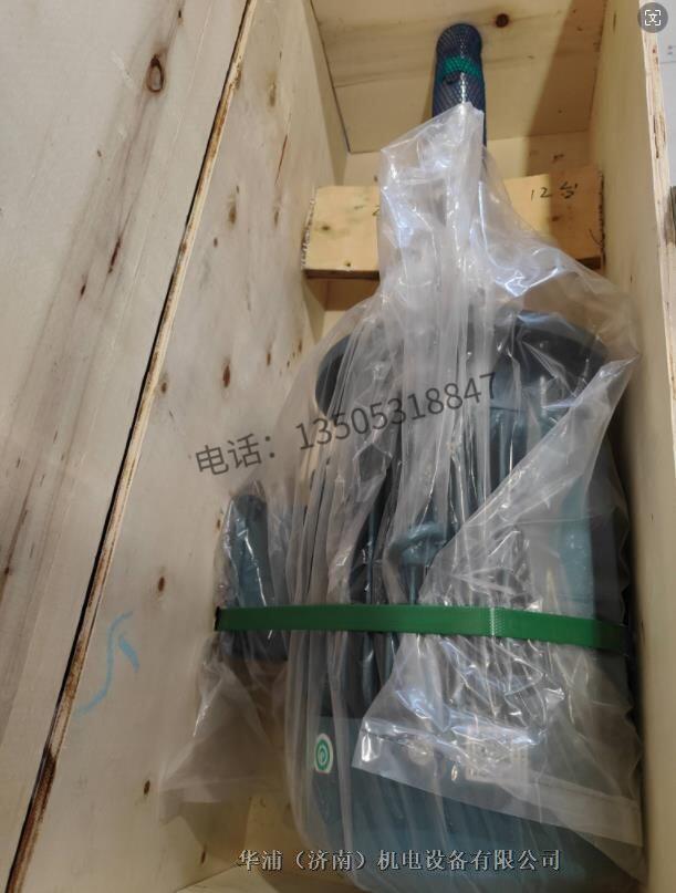 高溫長(zhǎng)軸電機(jī)