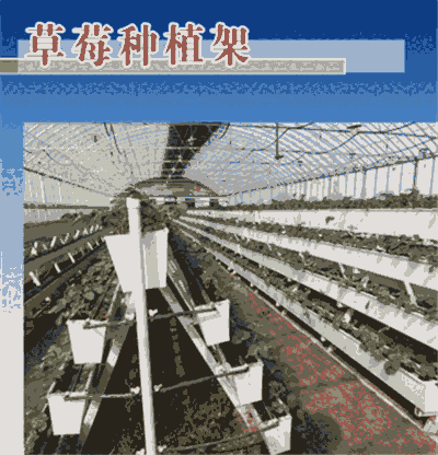 ӱ|(zh) ݮNֲ֧ܡAҫF(xin)؛(yng)