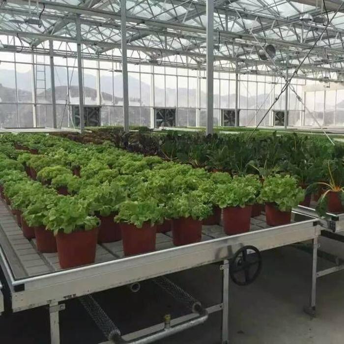 陜西溫室潮汐苗床操作簡單，使用方便