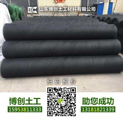 歡迎光臨丹東哪里供應(yīng)低價三復(fù)合排水網(wǎng)的價格
