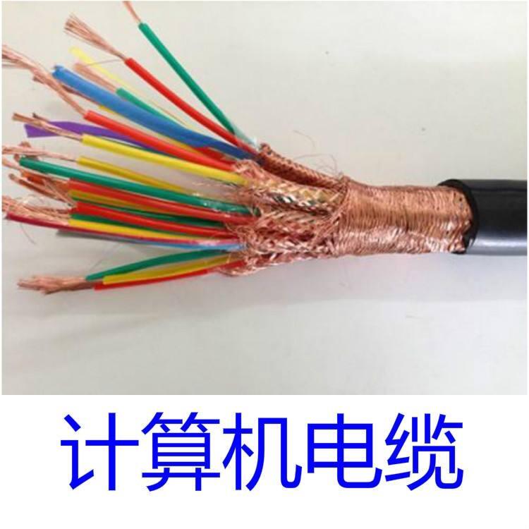 計(jì)算機(jī)電纜JYPVP32計(jì)算機(jī)控制電纜廠家國(guó)標(biāo)價(jià)格