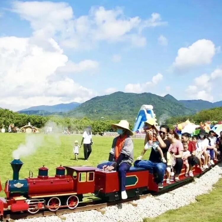 觀光小火車施工安裝 仿真模擬蒸汽汽笛  電動(dòng)有軌小火車廠家供應(yīng)