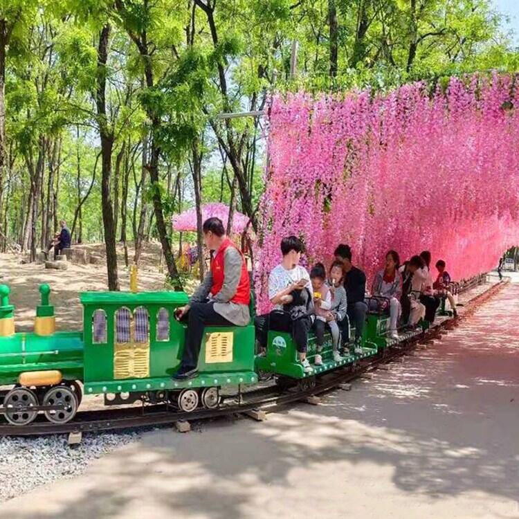 觀光小火車施工安裝 仿真模擬蒸汽汽笛  電動有軌小火車廠家供應(yīng)