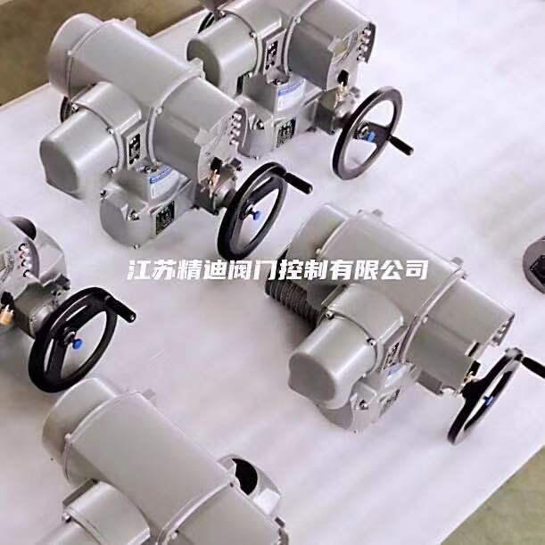 AUMA奧瑪電動(dòng)執(zhí)行器控制單元AM02.1 24V