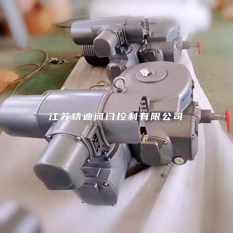 AUMA歐瑪執(zhí)行器電機(jī)AD00 71-4/80