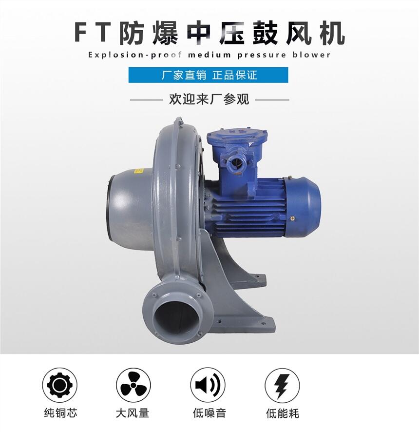送風(fēng)散熱防爆中壓鼓風(fēng)機(jī)