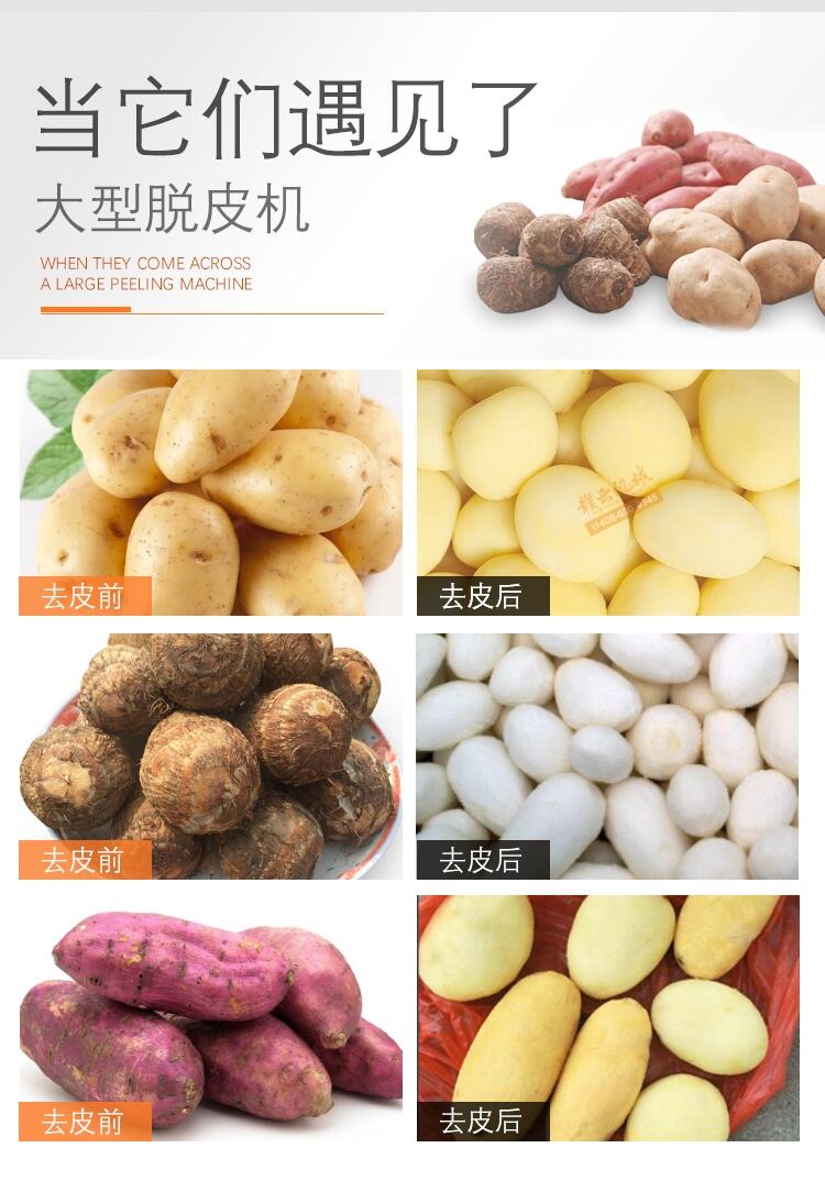 200斤商用不銹鋼地瓜脫皮機設(shè)備 食堂用自動化土豆脫皮機