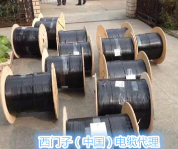 銷售6ES7195-1GG30-0XA0導軌模塊