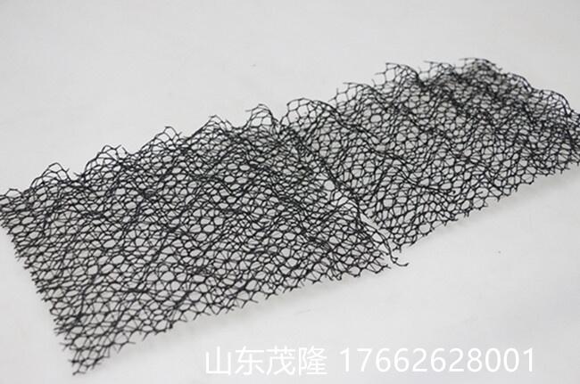 三維植被網(wǎng) 綠化護坡響當(dāng)當(dāng)
