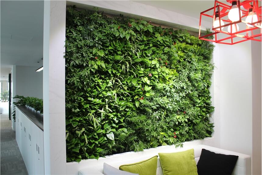 石家莊植物墻廠家