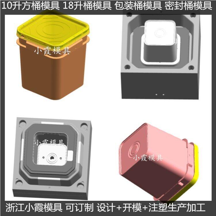 塑料涂料桶模具開發(fā)生產(chǎn)