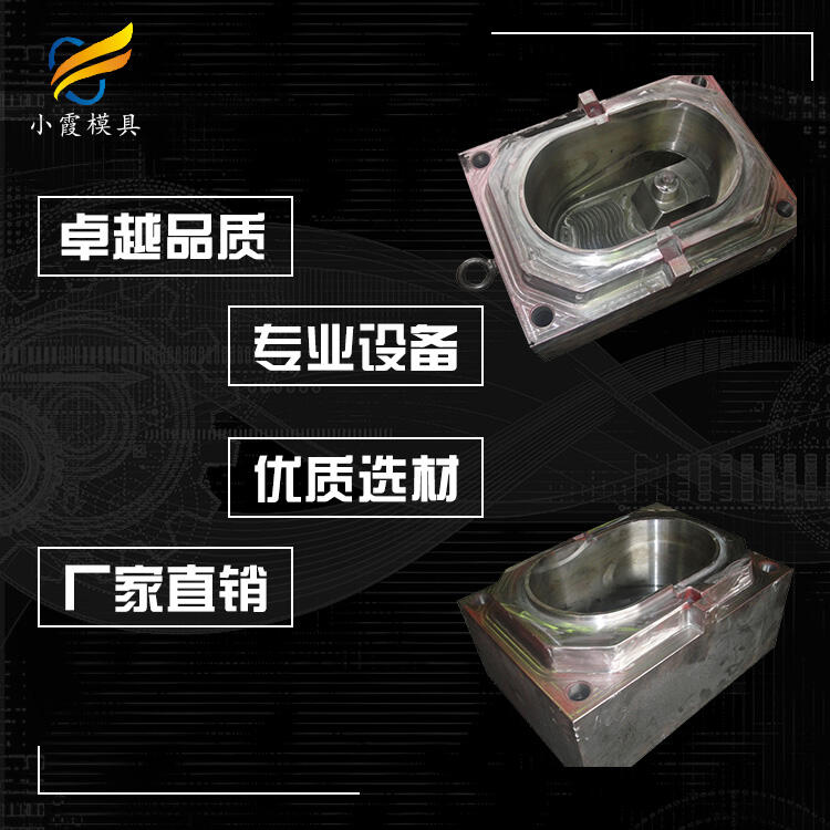 專業(yè)塑料拖地桶模具廠家