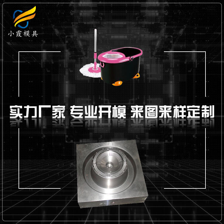 專業(yè)塑料拖地桶模具開模