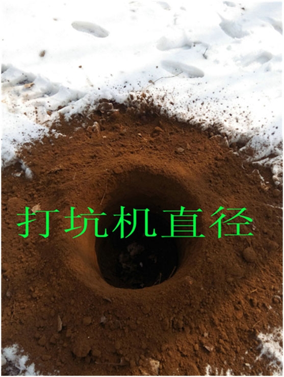 大型高速挖坑機果園植樹汽油挖坑機械 現(xiàn)貨