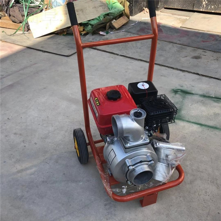 菜地園圃灌溉抽水機(jī)建德草坪澆水器
