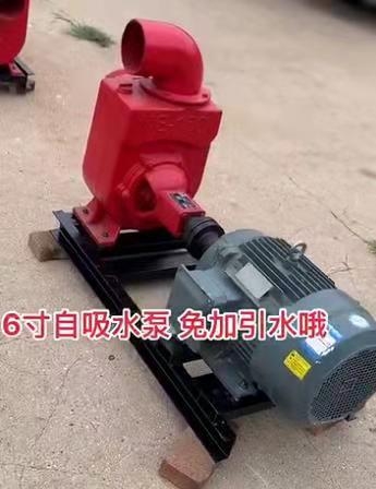 專(zhuān)用汽油抽水泵圖片溧陽(yáng)市政排水應(yīng)急排澇泵