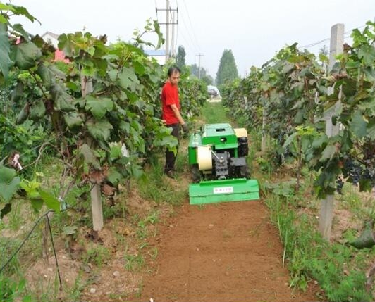 保亭縣果園遙控除草機(jī)價(jià)格