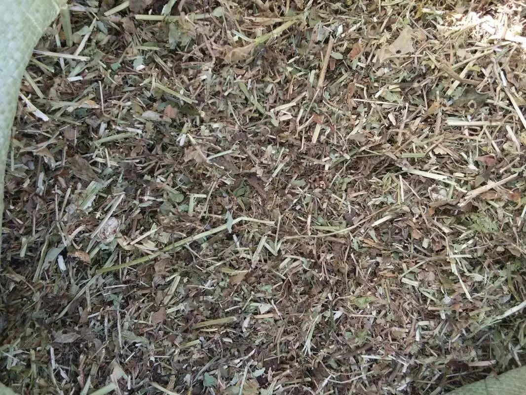 普陀區(qū)粉碎機(jī)批發(fā)