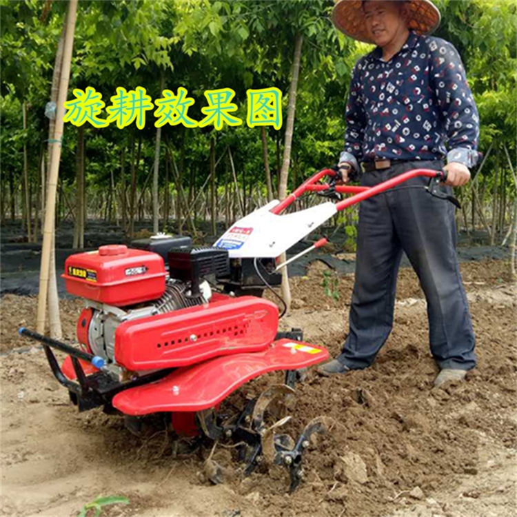 新聞:彌勒多種除草旋耕機(jī)