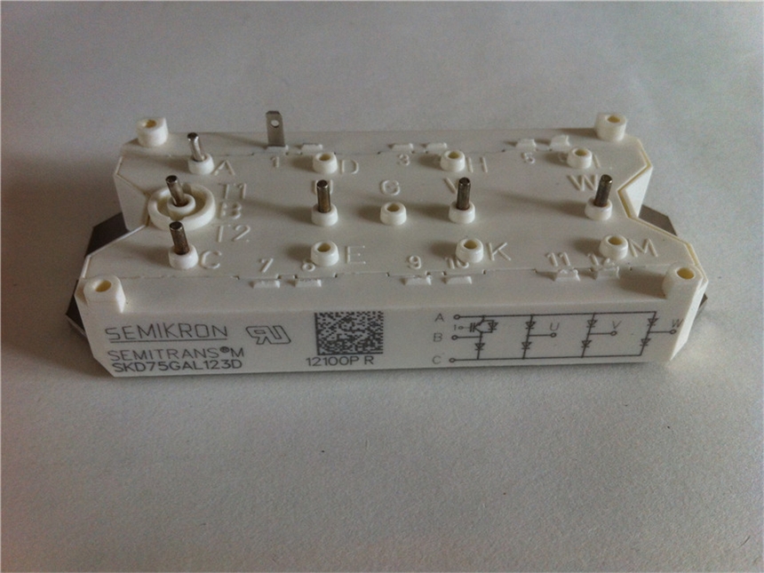 江蘇南通通州優(yōu)質(zhì)可控硅圖片SKKH570/16G6570A/1600V