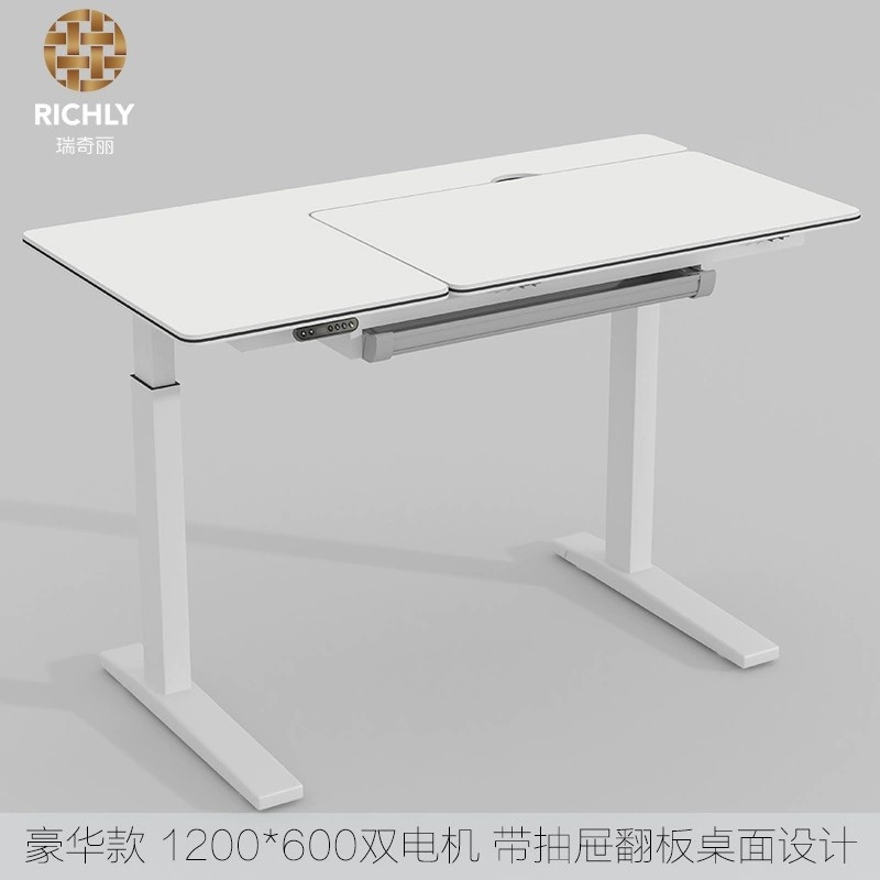 瑞奇麗電動(dòng)自動(dòng)升降桌 站立式工作臺(tái)可升降辦公桌電腦桌 家用智能書桌