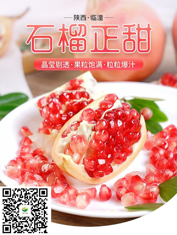 خa(chn)Rʯ