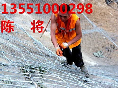 昌都GPS2主動防護網(wǎng)