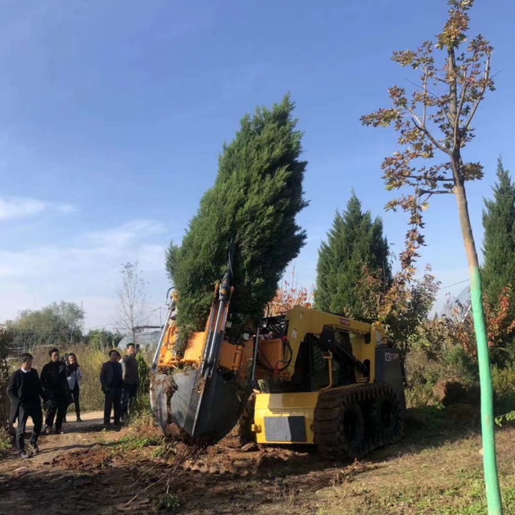 移植成活率高的樹木移植機 滑移挖樹機 苗圃移植機廠家